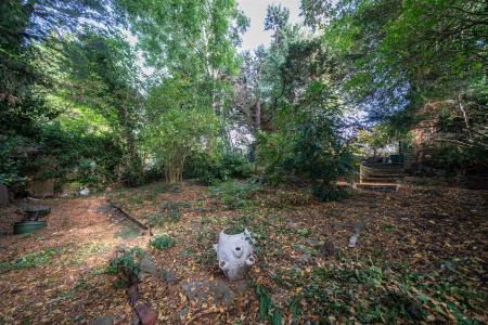 21-Georgewood-Road-4343.jpg