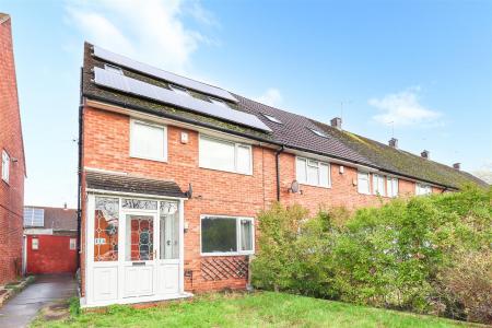 IMG_4568 copy.jpg
