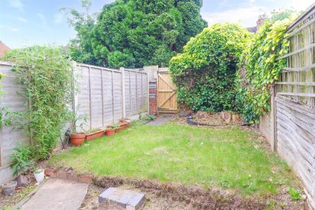 Back Garden
