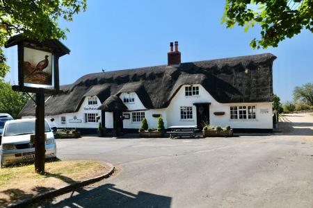 The Pheasant