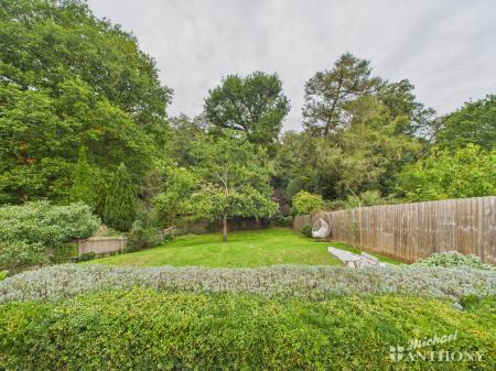 CAM02773G0-PR0362-ST