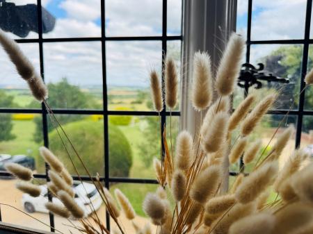 Window