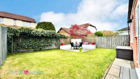 Media image 18