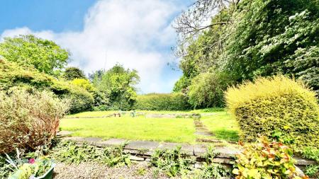 Media image 13
