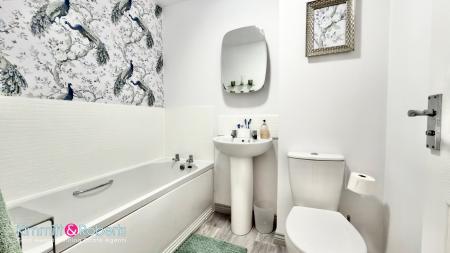 Media image 11