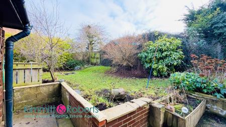 Media image 29