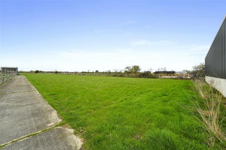 Grounds