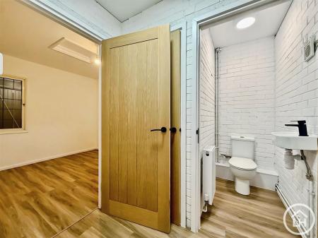 Garage Conversion (View)