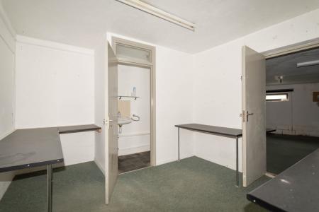 Media image 09