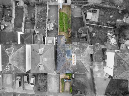 Media image 12