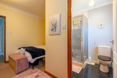 Media image 13