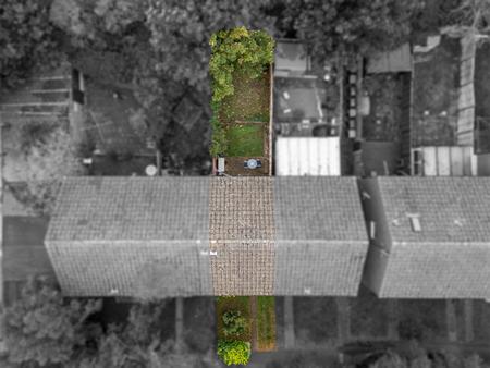 Media image 11