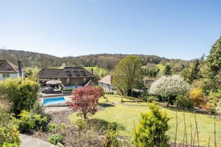 Garden slightly elevated view