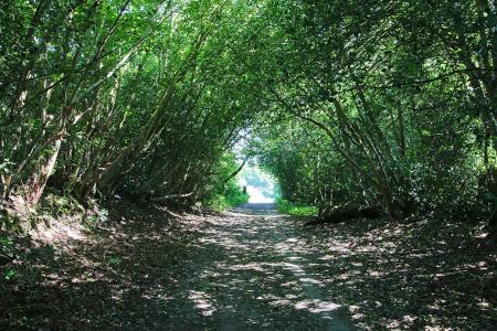 Photo 23