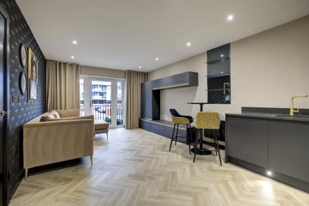 Living Room / Kitchen (2)