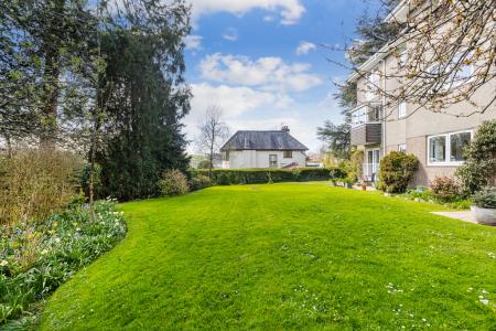 A07 - The Cedars Tot