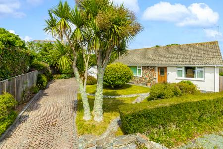 4 Main Front 12 Deer