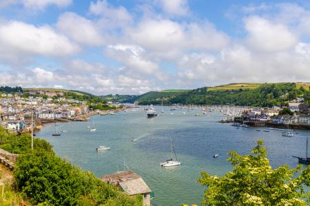 A07 - Dart View Swan