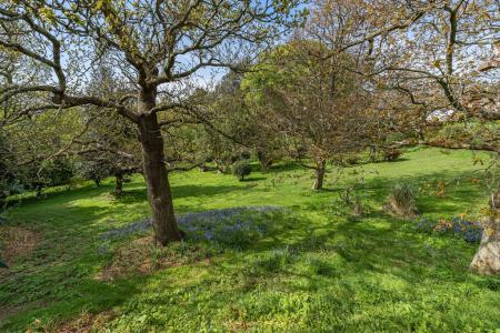 31 Communal Gardens.