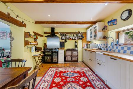 A14 - Bay Tree Cotta