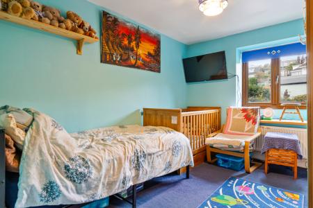 A16 - Bay Tree Cotta