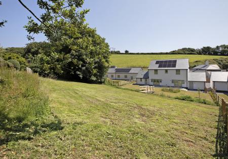 Redwing2025Wakeham F