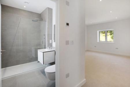 Dunlin2025Wakeham Fa