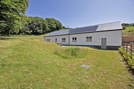 Dunlin2025Wakeham Fa