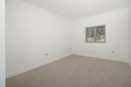 Dunlin2025Wakeham Fa