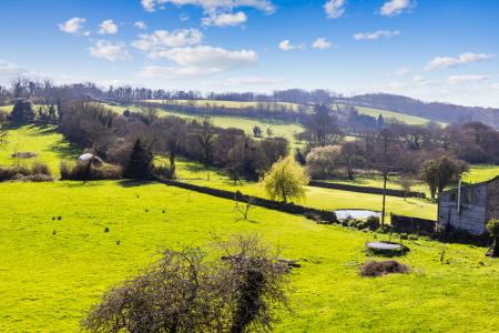 A05 - 8 Tanpits Mead