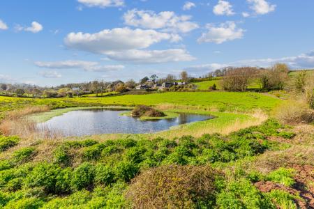 A11 - The Midshippen