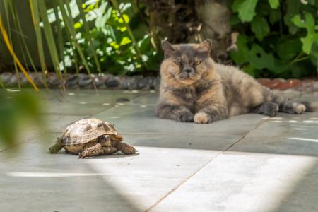 1344036-28-68b1bf273