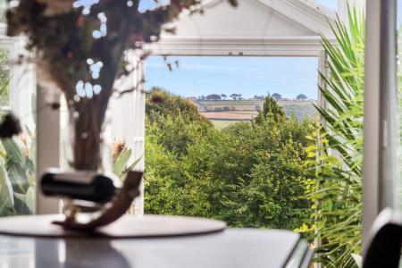 1344036-81-68c281450