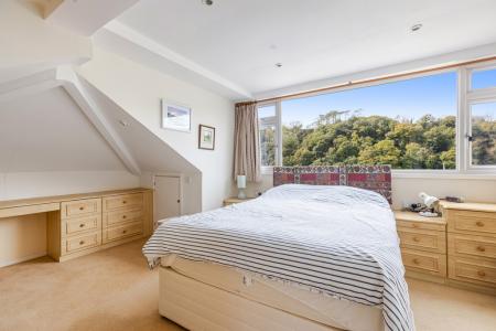 A44 - 5Gomorin, Newt