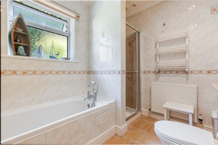 A10 - 5Gomorin, Newt