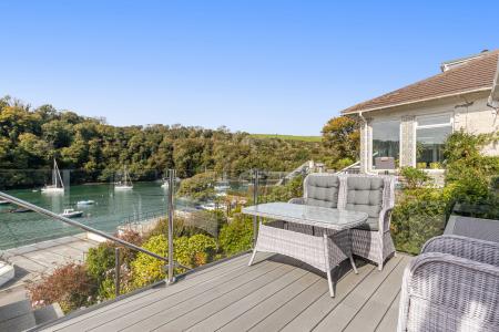 A16 - 5Gomorin, Newt