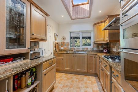 A31 - 5Gomorin, Newt