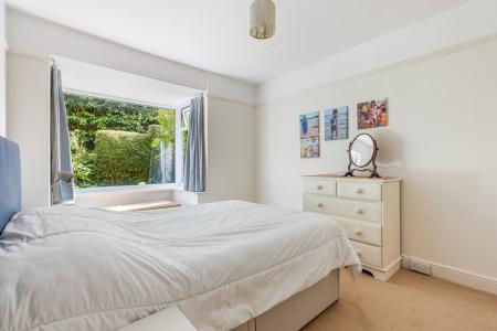 A35 - 5Gomorin, Newt