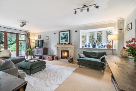 1373454-61-69023d930