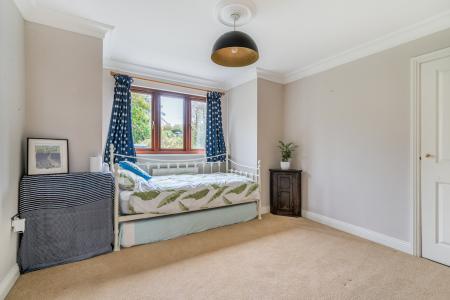 1373454-47-69023d651