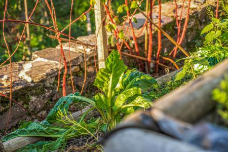 1372752-22-691b6b24e