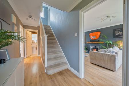 29-699c26f4864b2-141