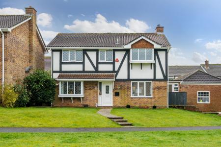 1411384-4-69985374b2