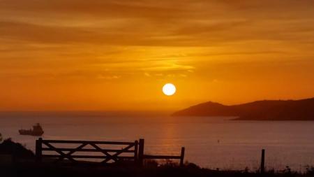 FB_IMG_1665297305375