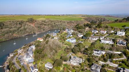 A19 - Haldonhay Newt