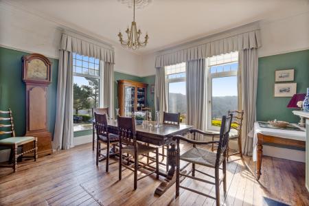 A47 - Haldonhay Newt