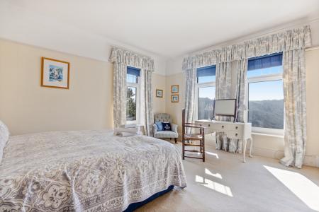 A51 - Haldonhay Newt