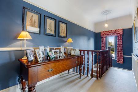 A49 - Haldonhay Newt