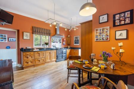 A44 - Haldonhay Newt