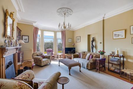 A35 - Haldonhay Newt